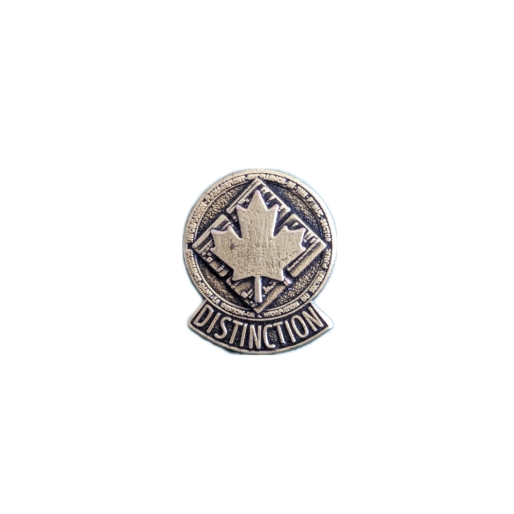 (3 for $20) Distinction Award Lapel Pin